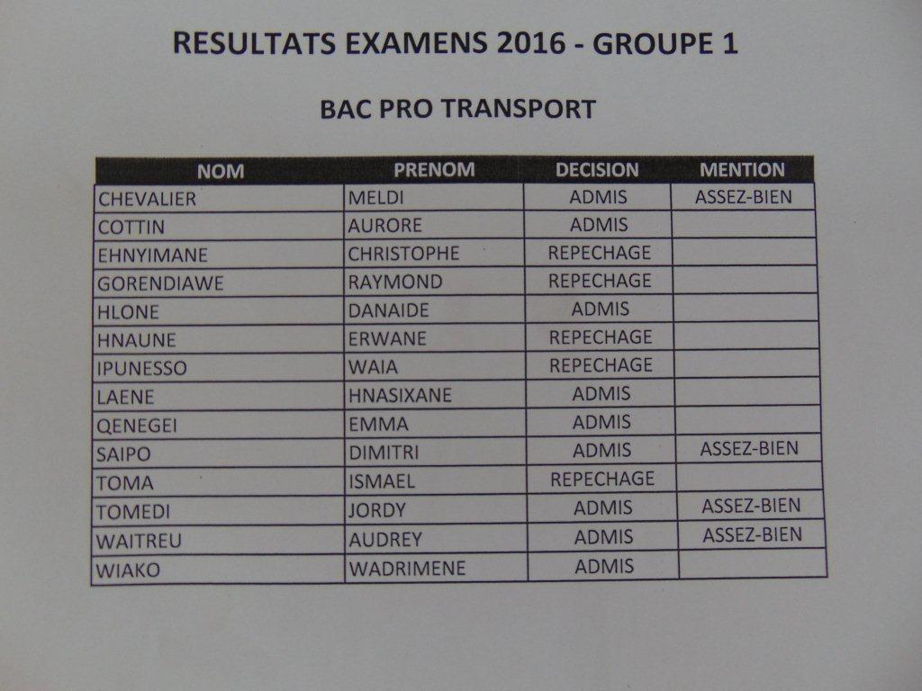 Les bacs professionnels : des résultats excellents ! – Lycée Do Kamo